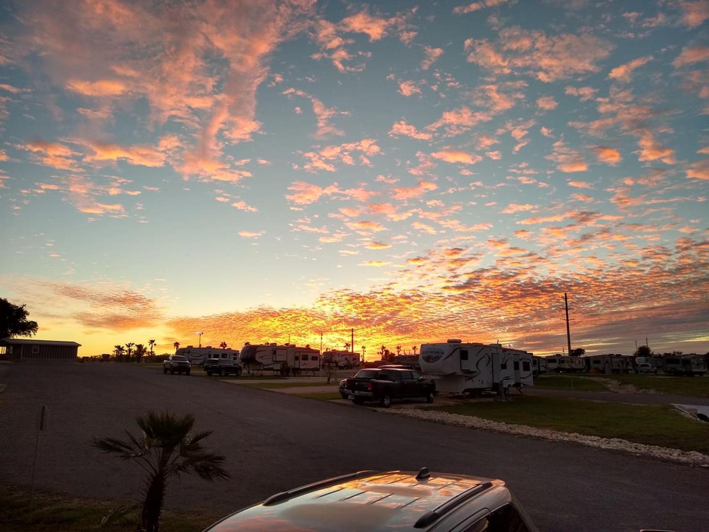 Rivercity Rv Park New Braunfels Dış mekan fotoğraf